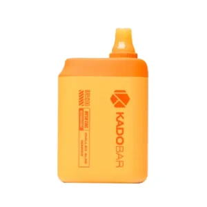 Chilled Aloe Mango Kado Bar BR5000 Puffs Disposable Vape